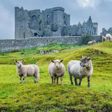 Irlanda & Irlanda del Norte