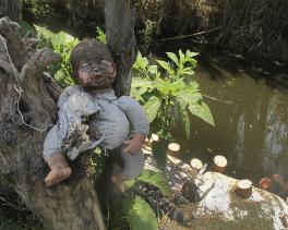 Isla de las muñecas