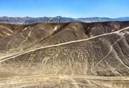 nasca